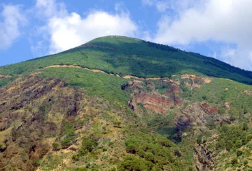 Insel Salina (Messina) 07/1995