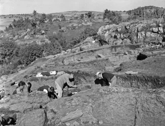 König Gustav von Schweden