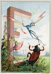 Buchstabe E wie Escarpolette (Künstlerisches Alphabet von Mr. Marinier)