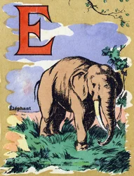 Buchstabe E wie Elefant. Illustriertes Alphabet. Bildereien vereint in Jarville-Nancy, Anfang des 20. Jahrhunderts. Dim: 40 x 29 cm. Lithographie auf bistre Hintergrund