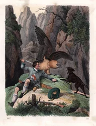 Mathias Sturz kämpft mit einem Bartgeier. Handkolorierte Lithographie aus Carl Hoffmann