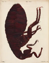 Mikroskopie