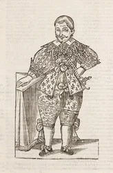 Zwerg des Hochwohlgeborenen D