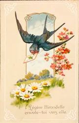 Alte Postkarte Schwalbe
