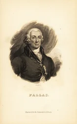 Peter Simon Pallas, deutscher Entdecker, Zoologe und Botaniker