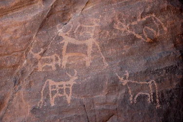 Felskunst, Vorgeschichte: Gravur eines Viehbestands, von dem eines unten links ist, im Uweinat-Massiv, Ägypten. (Zeitraum von 8000 bis 3000 Jahre v. Chr.). Fotografie