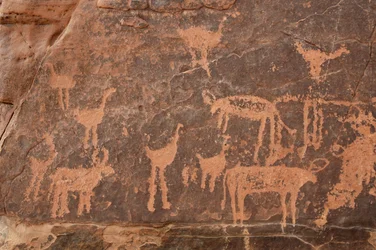 Felskunst, Vorgeschichte: Detail einer Gravur eines Sets von Straußen und Rindern im Uweinat-Massiv, Ägypten. Zeitraum von 8000 bis 3000 v. Chr.