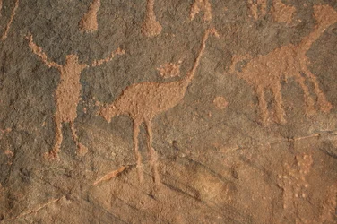 Felskunst, Vorgeschichte: Gravur einer Figur und Strauße im Uweinat-Massiv, Sudan (Karkur-Talh oder Karkur Talh). Zeitraum von 8000 bis 3000 v. Chr. Fotografie