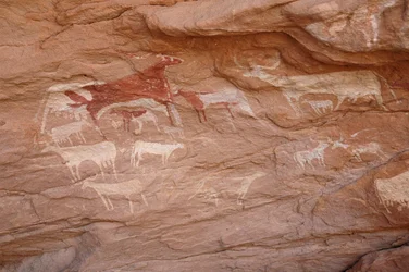 Felskunst, Vorgeschichte: Malerei eines Viehbestands in einem verzierten Schutzraum im Uweinat-Massiv, Sudan (Karkur-Talh oder Karkur Talh). Zeitraum von 8000 bis 3000 Jahre v. Chr. Fotografie