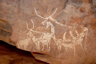 Felskunst, Vorgeschichte: Felsmalerei von Rindern mit großen Hörnern in einem geschmückten Schutzraum im Uweinat-Massiv, Sudan (Karkur-Talh oder Karkur Talh). Zeitraum von 8000 bis 3000 v. Chr. Fotografie
