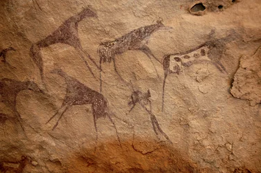 Felskunst, Vorgeschichte: Felsmalerei einer Gruppe von Rindern und polychromen Figuren in einem verzierten Schutzraum im Uweinat-Massiv, Sudan. Zeitraum von 8000 bis 3000 v. Chr. Fotografie