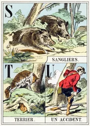 S T U: Wildschwein, Bau, Ein Unfall - Das Jagd-Alphabet, ca. 1890