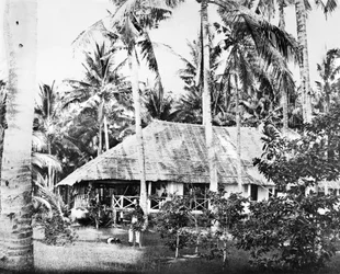 Singapur: Ein privater Bungalow umgeben von Palmen. Singapur, ca. 1875