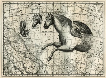 Die Konstellation des Pegasus, gezeichnet wie die vordere Hälfte eines Pferdes mit einem Paar Flügel, das kleine Pferd, ein Pferdekopf und der Delphin. Gravur aus „Les étoiles et les autres curiosités du ciel“ von Camille Flammarion