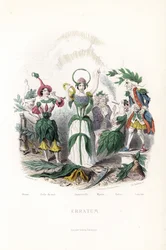 Die Blumenfeen: die Olive, schlafend in einer Baumwollmütze, die Nachtkerze, die Immortelle mit einer Krone und einer Schlangen-Aureole, der Myrte als alter Mann, der Tabak raucht die Zigarre und der Lorbeer als alter Musketier - Radierung von Charles Geof