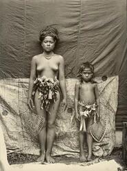 Tonganer