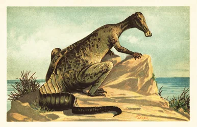 Trachodon mirabilis, ausgestorbener Hadrosaurier. 1908 (Lithografie)