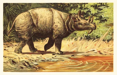 Uintatherium anceps, ausgestorbenes pflanzenfressendes Säugetier des Eozäns. 1908