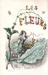 Eine Blumenfee sitzt auf einem Blatt und hält ein Band (Titelseite) - Radierung von Charles Geoffroy nach einer Illustration von Jean Ignace Isidore Gerard dit J.J.Granville für Les fleurs animées