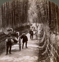 Bambusallee, Blick nach Südwesten, nahe Kiyomizu, Kyoto, Japan, 1904