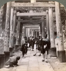 Kommen und Gehen unter langen Reihen heiliger Torii, Shinto-Tempel von Inari, Kyoto, Japan, 1904