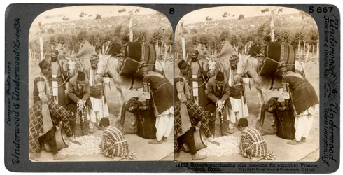 Experten kaufen Seidenkokons für den Export nach Frankreich, Antiochia, Syrien, 1900er