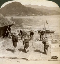 Dreschen von Gerste neben einem Fischerstrand am Binnenmeer, Japan, 1904