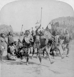 Heroische Sportarten des Kraal, ein Zulu-Kriegstanz, Zululand, Südafrika, 1901