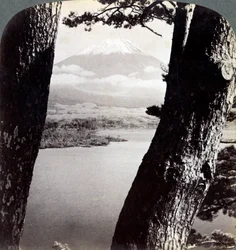 Der Berg Fuji, gesehen vom Nordwesten, durch Kiefern am Lake Motosu, Japan, 1904
