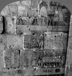 Königin Makeres Expedition nach Ostafrika - Reliefs geschnitzt in Der-el-Bahri, Theben, Ägypten, 1905