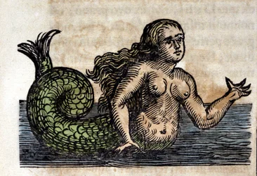 Eine Sirene, legendäre Person - Gravur aus einem Werk von Athanasius Kircher (1601 - 1680), Jesuit, Orientalist und deutscher Gelehrter