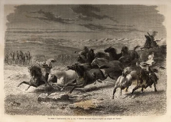 Ein Rodeo in Lauramarca (Unterperu), das Einfangen von Wildpferden, vor ihrer Eisenmarkierung mit den Initialen des Besitzers der Region, als vollständiges Spektakel betrachtet, viele Schaulustige versammelt. Gravur zur Illustration der Reise in die Täler 