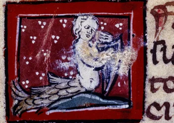 Eine Sirene - Bestiarium des 14. Jahrhunderts. Mailand, Biblioteca Trivulziana