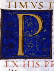 Alphabet: miniaturisierter Buchstabe P