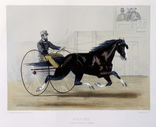 Dexter Traber - in „The Centaur“