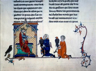 Kaiser Friedrich II. empfängt Falkner (Miniatur aus „De arte venandi cum avibus“)