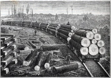 Ausbeutung der Wälder der Vereinigten Staaten. Temporäre Eisenbahnen mit Holzschienen. Wagen transportieren Baumstämme. Gravur in „La Nature“