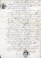 Auszug aus dem Geburtsregister der Gemeinde Dommyrot, beglaubigte Kopie vom 2. Februar
