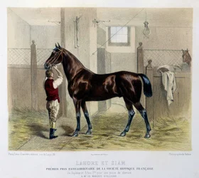 Berühmte Rennpferde in „The Centaur“ 1866