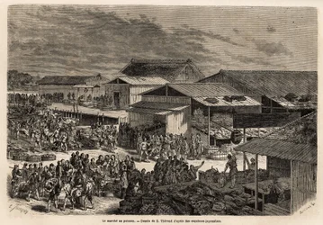 Gesamtansicht des Fischmarktes, mit dem Hafen der Warenbarken, den Hütten und den Präsentationsständen der Produkte und der Bühne für den Verkauf an die Auktionshäuser, mit der lebhaften Animation, die den Ort vereint: Träger, Verkäufer und m