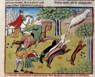 Wie man Hirsche jagt. Miniatur aus dem 