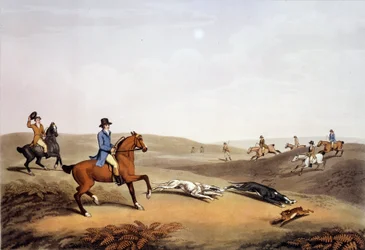 Jagdszene in England. 19. Jahrhundert Gravur. Gien, Jagdmuseum