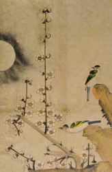 Hwajodo