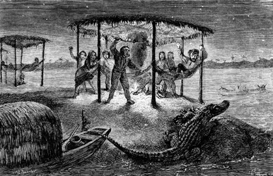 Illustration aus "The Naturalist on the River Amazon" von Henry Walter Bates