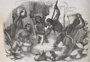 Indianer von der Insel Hispaniola beim Goldwaschen