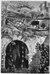 Bewässerung in Ägypten: ein Ochse dreht ein Rad, um das Eimer gewickelt sind. Gravur in „Le Monde Illustré“ Nr. 1313 vom 27. Mai 1882.