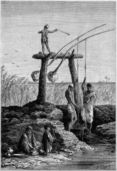 Bewässerung in Ägypten: Schadufs (oder Schadufs) am Ufer des Nils. Gravur in "Le Monde Illustré" Nr. 1313 vom 27. Mai 1882.