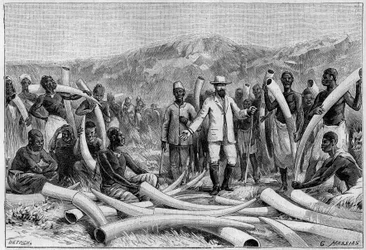 Elfenbein in Afrika: Elefantenstoßzähne gesammelt von Emin Pascha (Eduard Schnitzer, bekannt als Mohammed Emin Pascha)