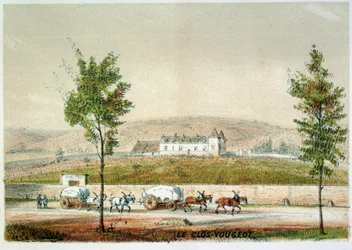 Le Clos Vougeot, Weinberg der Côte d