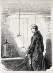 Luigi Galvani verursacht Froschkontraktionen durch Blitzableiter-Elektrizität - LUIGI GALVANI (1737-1798) italienischer Arzt und Physiker. Verursacht Kontraktionen in einem Frosch mit Elektrizität aus einer Gewitterwolke